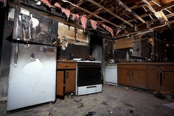 Affordable Fire Damage Removal solutions in Edgewater, MD